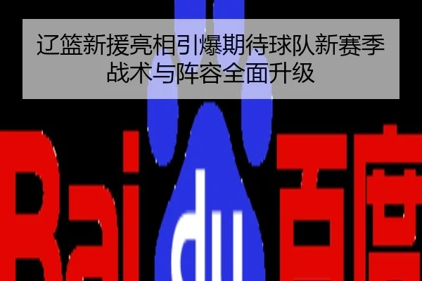 辽篮新援亮相引爆期待球队新赛季战术与阵容全面升级