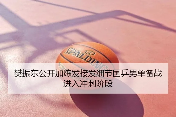 樊振东公开加练发接发细节国乒男单备战进入冲刺阶段